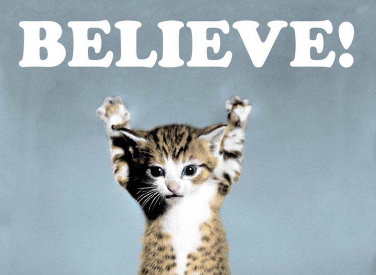 Believe Cat Poster