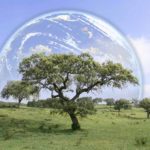 Planet Earth