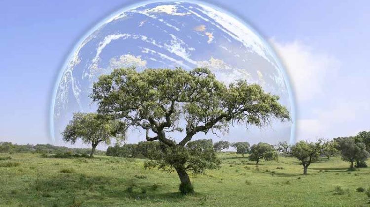 Planet Earth