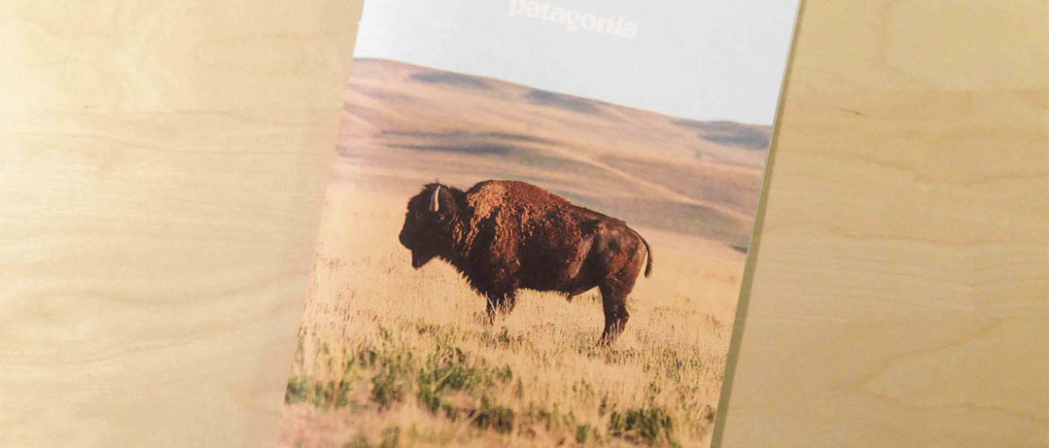 Patagonia Catalog Cover Featuring Bison on Prairie