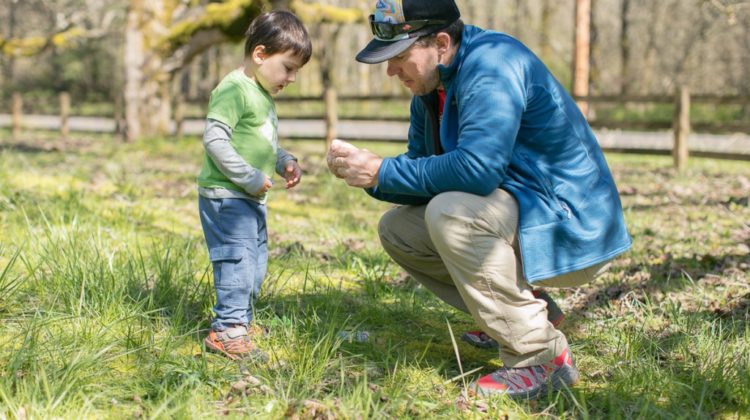 Camping Tips For Dads & Kids