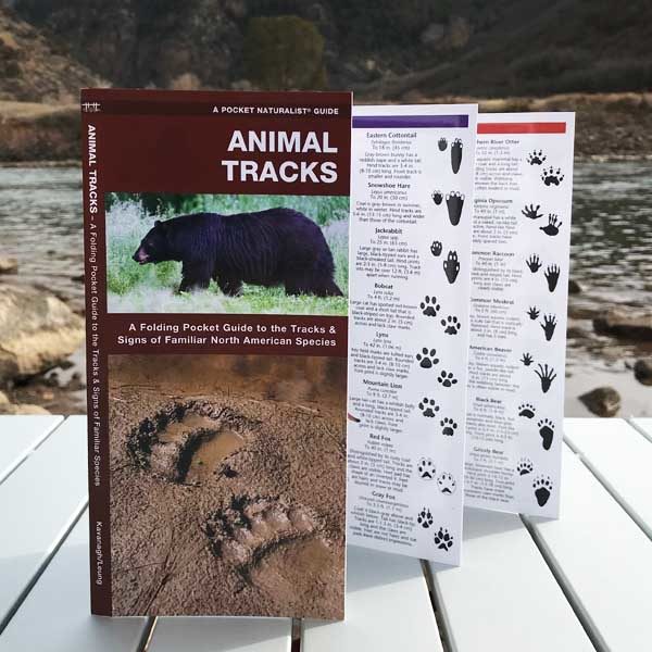 Wilderdad Animal Tracks Guide 1
