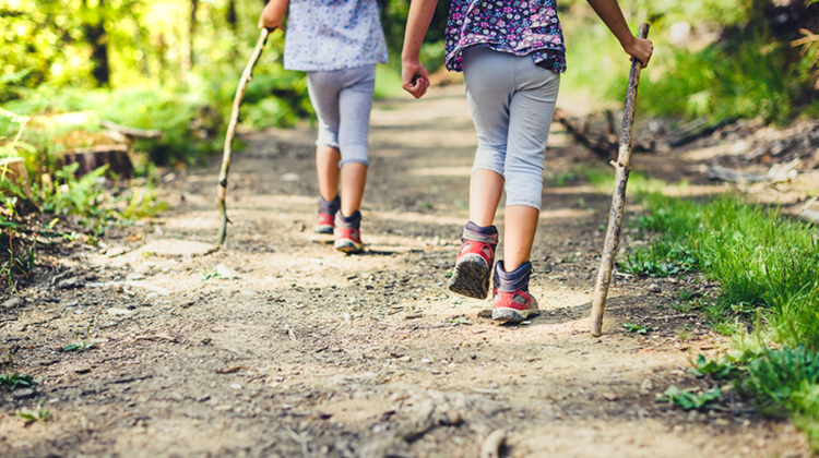 Finding Animal Track With Kids