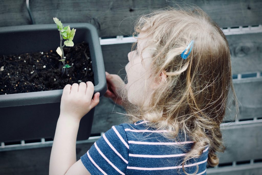 Composting For Kids: An Easy Guide To Get Started