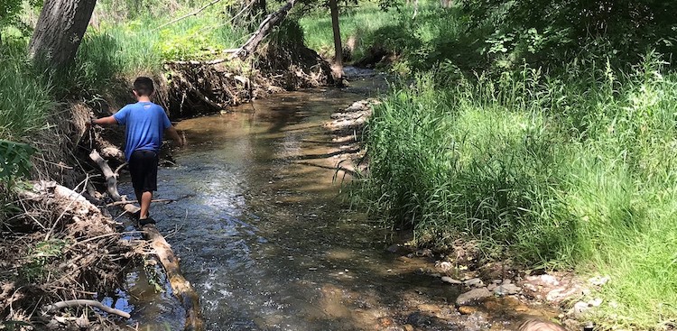 Risky play can be as simple as walking along a creek.