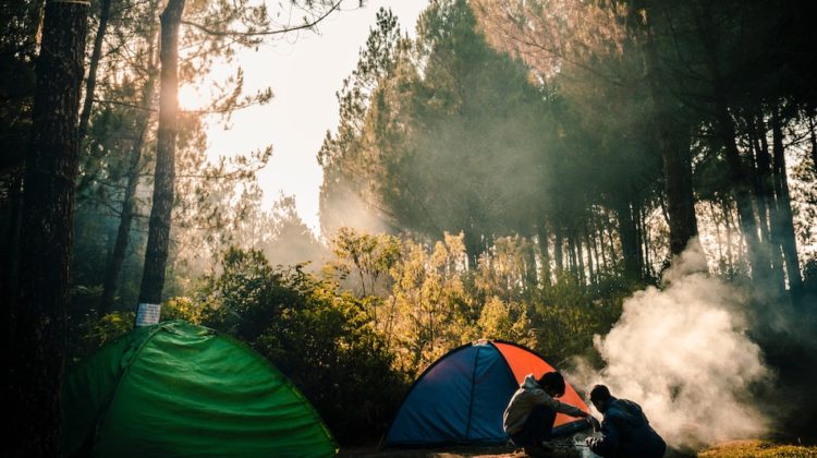 Single dad camping with son