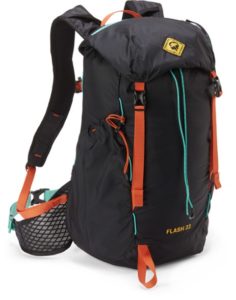 Dad Gift: REI Daypack
