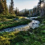 A quick and easy guide to Olympic National Park for families.