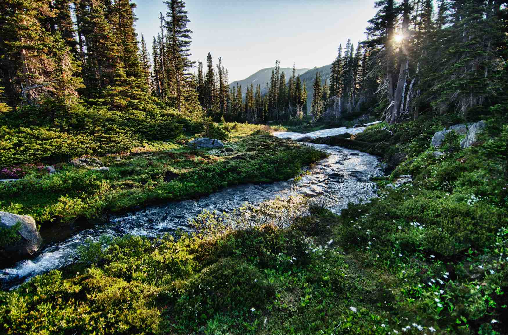 A quick and easy guide to Olympic National Park for families.