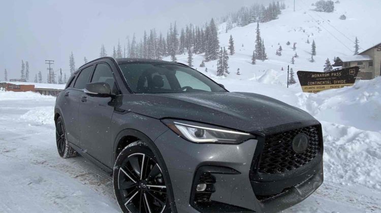 2023 Infiniti QX50 Sport in Snow Alt