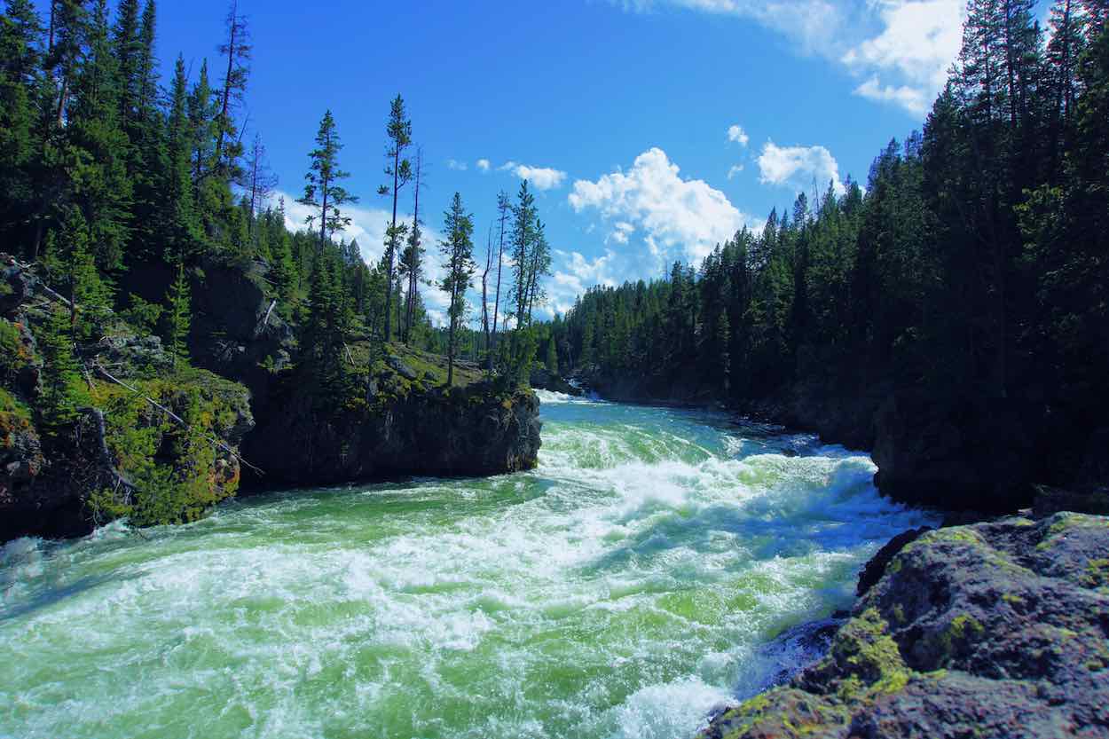 Yellowstone river in summer