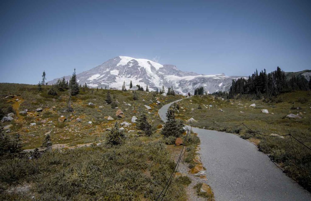 Best Hiking Trails for Families Near Mount Rainier