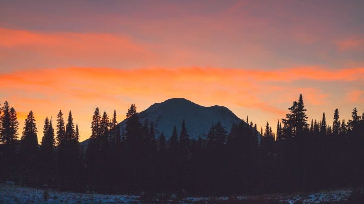 Mount Rainier National Park at sunrise photo by Joshua Earle