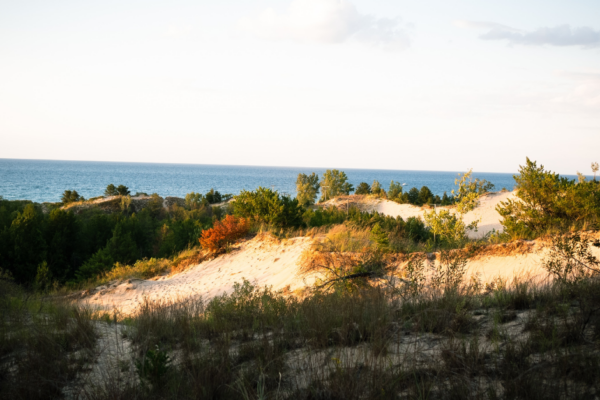 A stunning view of Indiana Dunes National Park