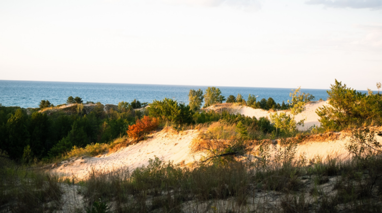 A stunning view of Indiana Dunes National Park