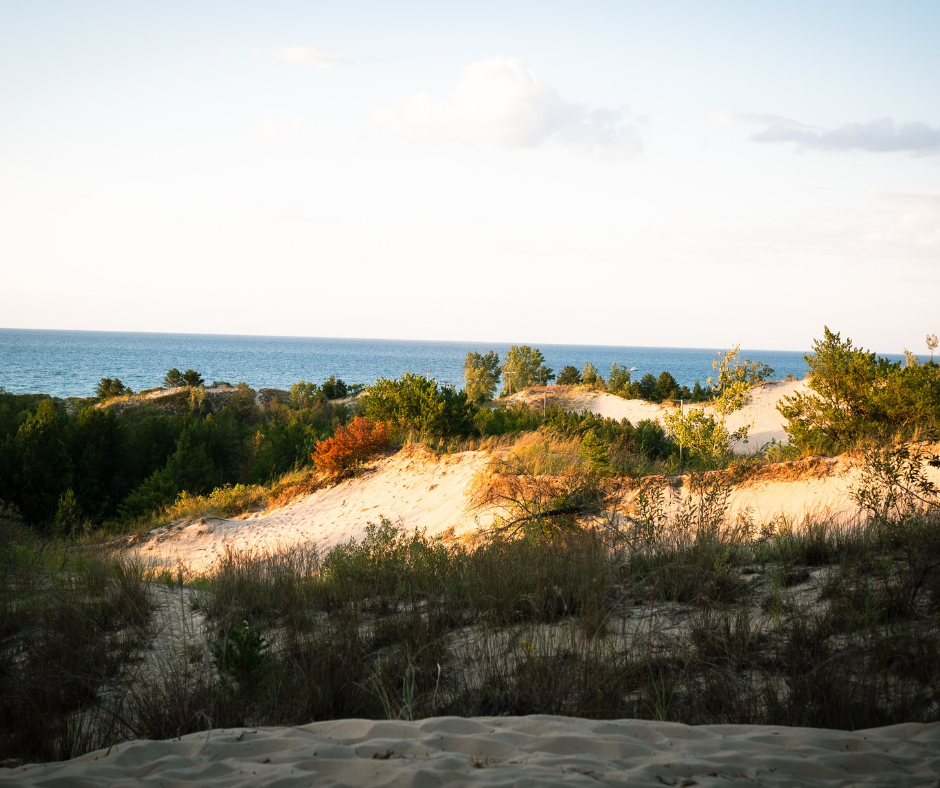 A stunning view of Indiana Dunes National Park