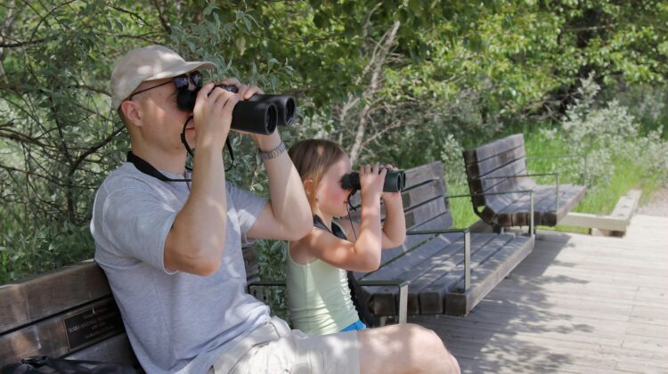 A dad and young daughter sit on a bench each looking through binoculars birdwatching.