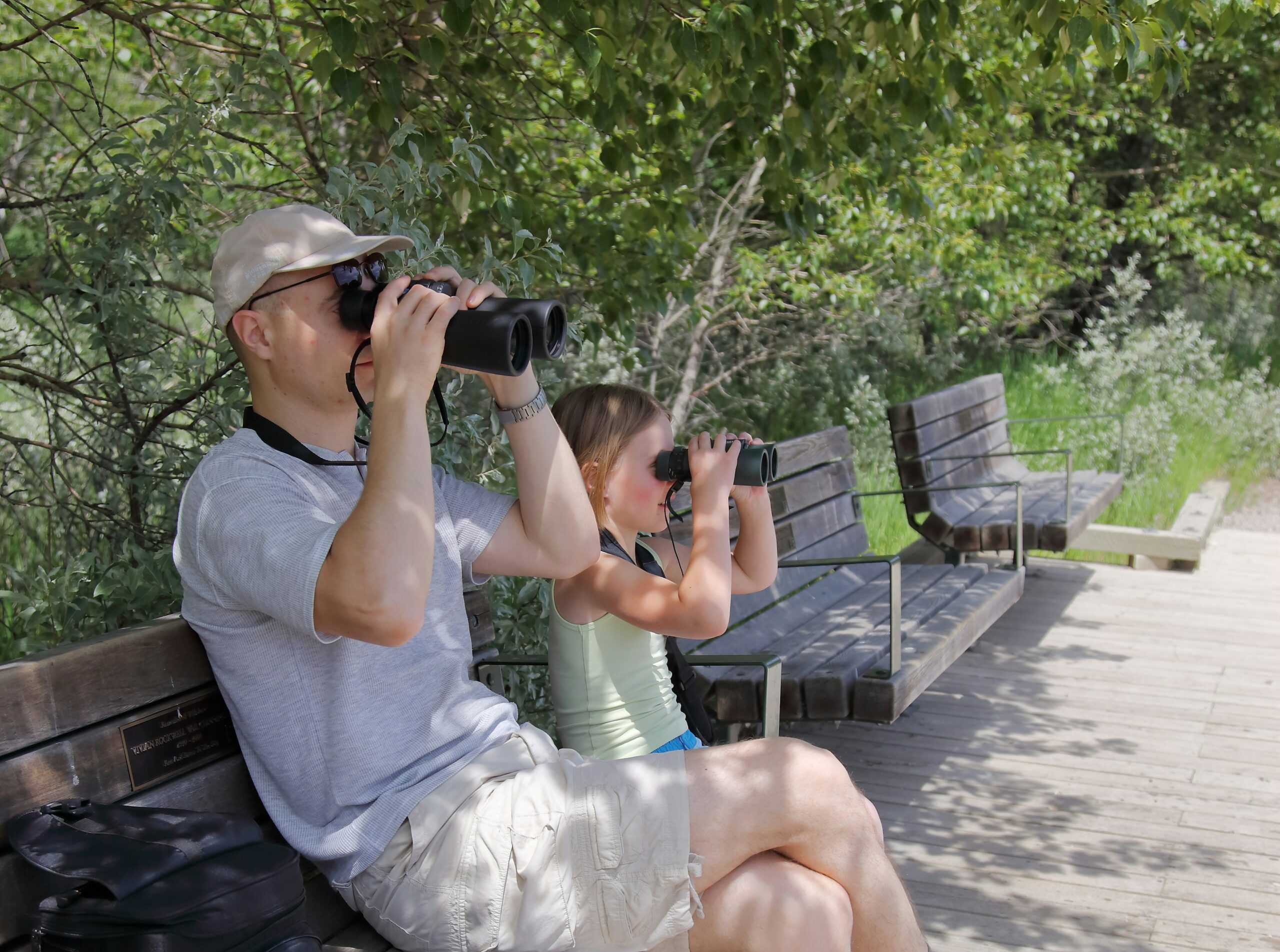 A dad and young daughter sit on a bench each looking through binoculars birdwatching.